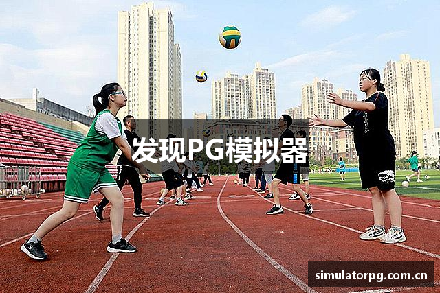 发现PG模拟器